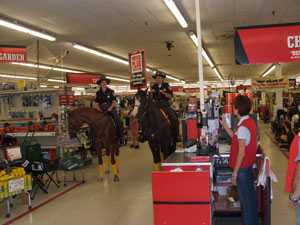 horse in store